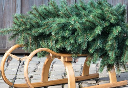 Weihnachtsbaum-Taxi Weihnachtsbaum-Taxi