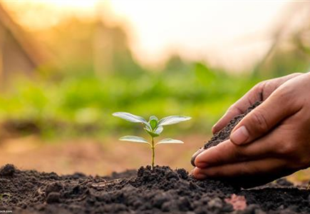 Düngemittel & Pflanzenschutz Düngemittel & Pflanzenschutz