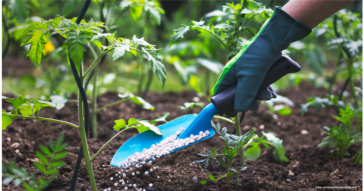 Dngemittel und Pflanzenschutz - Gartenfachmarkt Richter