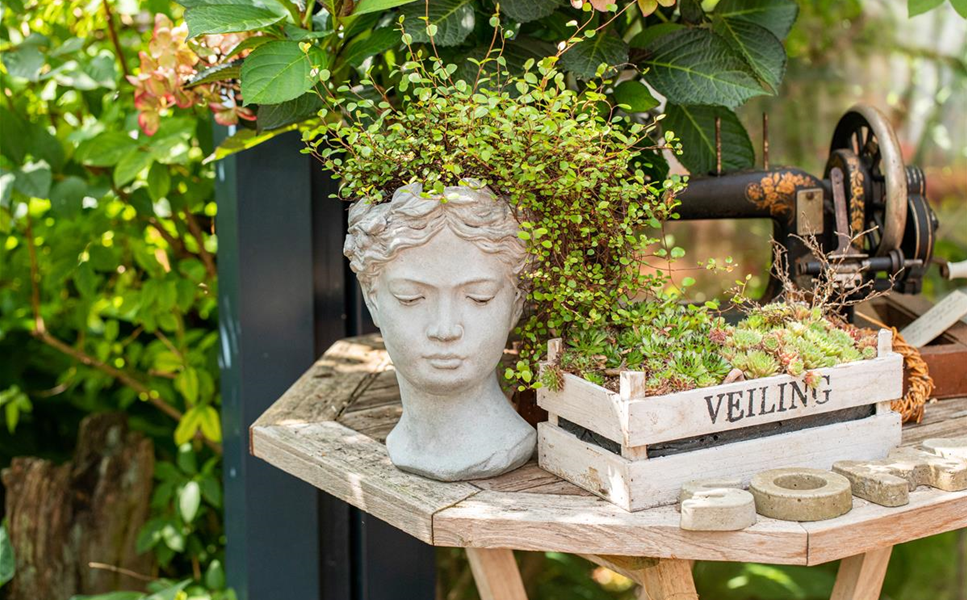 Stimmungsvolle Gartendekoration - Gartenboutique
