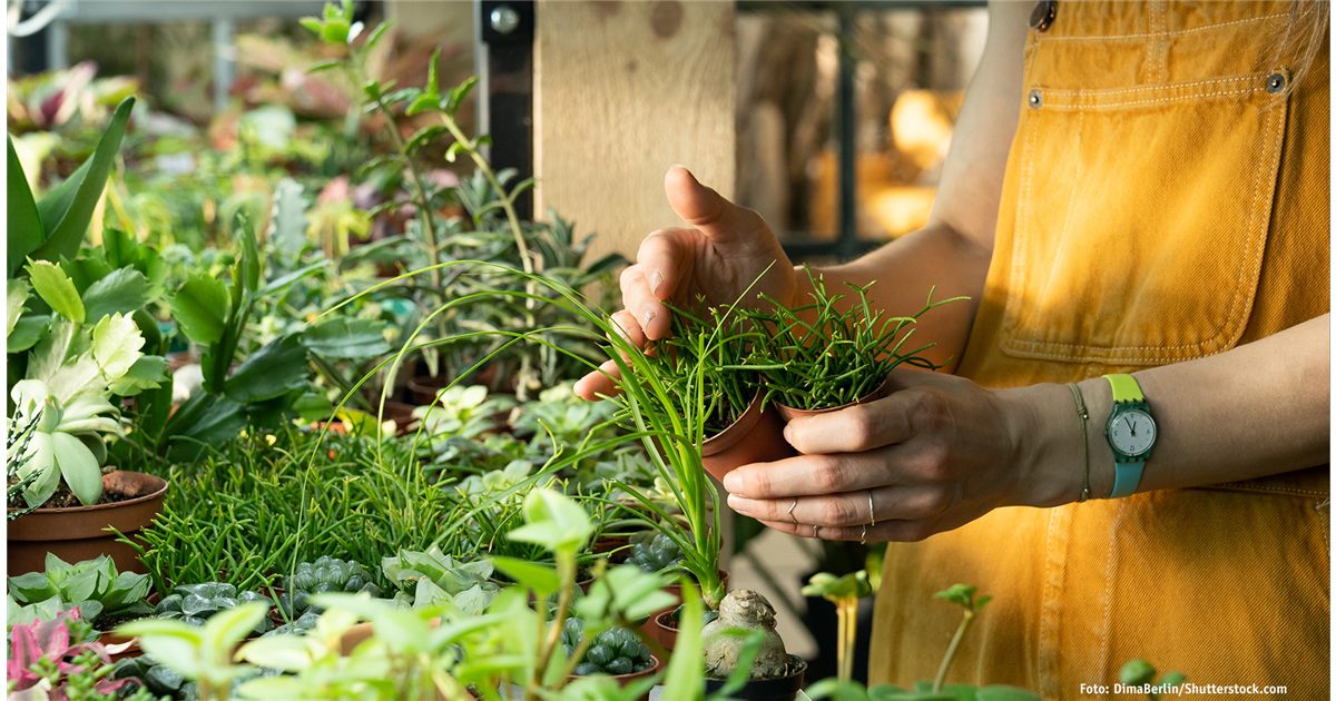 Unternehmen - Gartenfachmarkt Richter