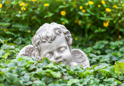 SCHöNER HERBSTLICHER GRABSCHMUCK! SCHöNER HERBSTLICHER GRABSCHMUCK!