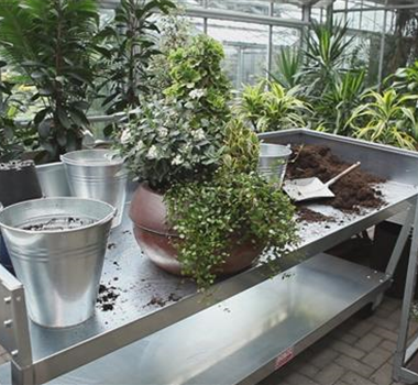 Blumenkübel - Dauerhafte Bepflanzung Blumenkübel - Dauerhafte Bepflanzung