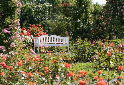 ROSENKAVALIERE ROSENKAVALIERE