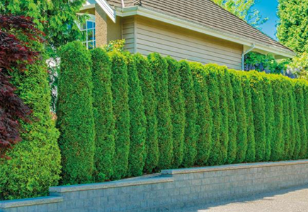 SCHICKE HECKE! SCHICKE HECKE!