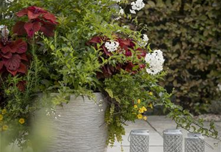 KüBEL WINTERFEST MACHEN KüBEL WINTERFEST MACHEN