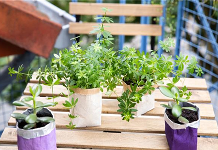 UNBESCHWERT GENIESSEN