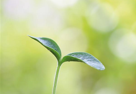 GENUSSGARTEN! GENUSSGARTEN!