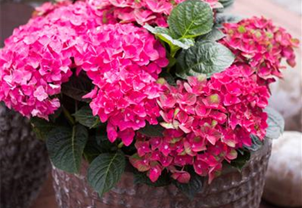 URLAUBSPARADIES GESUCHT? URLAUBSPARADIES GESUCHT?