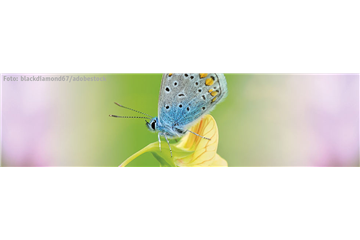 ALLES BIO, ODER WAS?  ALLES BIO, ODER WAS?