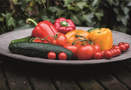 GEMüSE VEREDELN! GEMüSE VEREDELN!