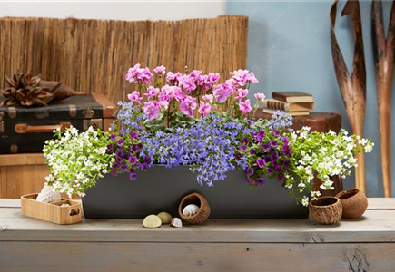 DIE SCHÖNSTEN BALKONKÄSTEN! DIE SCHÖNSTEN BALKONKÄSTEN!