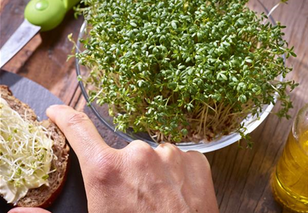 Grüner Daumen trifft Gartenjahr Grüner Daumen trifft Gartenjahr
