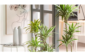 GRÜNES UPDATE FÜR DEIN HOMEOFFICE!