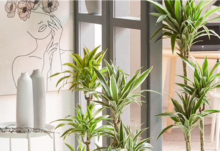 GRÜNES UPDATE FÜR DEIN HOMEOFFICE!