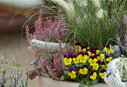 TERRASSENTRENDS IM HERBST TERRASSENTRENDS IM HERBST