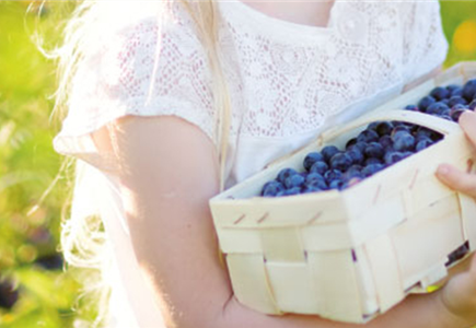 GESUND UND LECKER! GESUND UND LECKER!