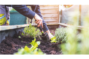 EIN HOCH AUF'S HOCHBEET!  EIN HOCH AUF'S HOCHBEET!