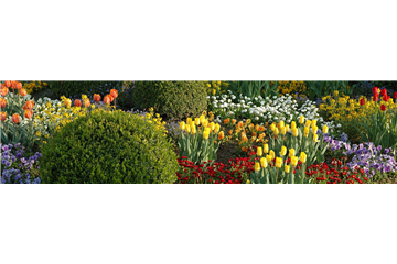 Eine Tüte voll Frühling Eine Tüte voll Frühling