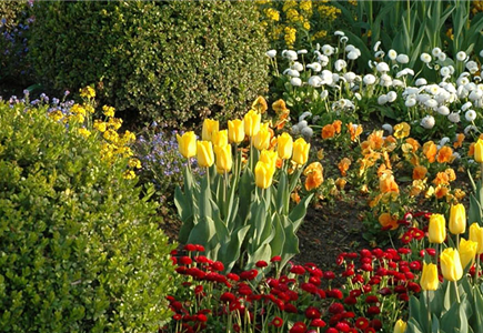 EINE TüTE VOLL FRüHLING! EINE TüTE VOLL FRüHLING!