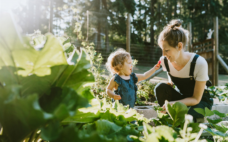 EIGENER GEMüSEANBAU EIGENER GEMüSEANBAU