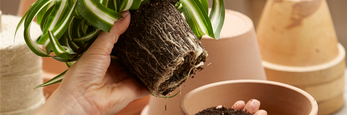 21. März: Umtopf-Aktionstag