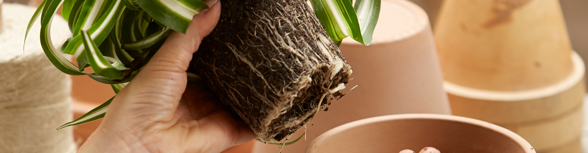 21. März: Umtopf-Aktionstag