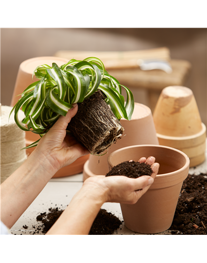 21. März: Umtopf-Aktionstag