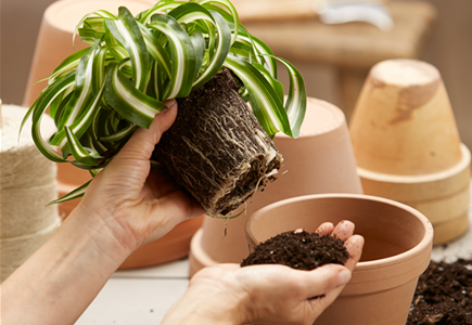 21. März: Umtopf-Aktionstag