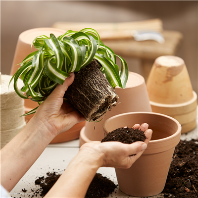 21. März: Umtopf-Aktionstag