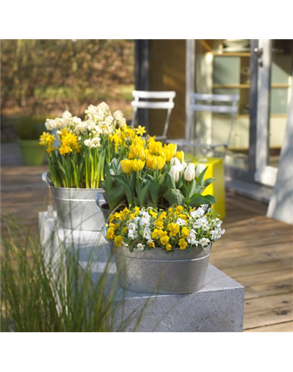 13. - 15. März: Chemnitzer Frühling in der Messe Chemnitz