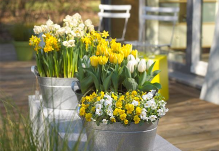 13. - 15. März: Chemnitzer Frühling in der Messe Chemnitz