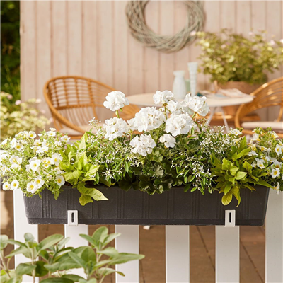 24. April von 14 - 18 Uhr: Mobiler Balkonpflanzenverkauf - Eislebener Straße 17/19