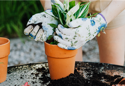 Erden, Rinde und Zierkies Erden, Rinde und Zierkies