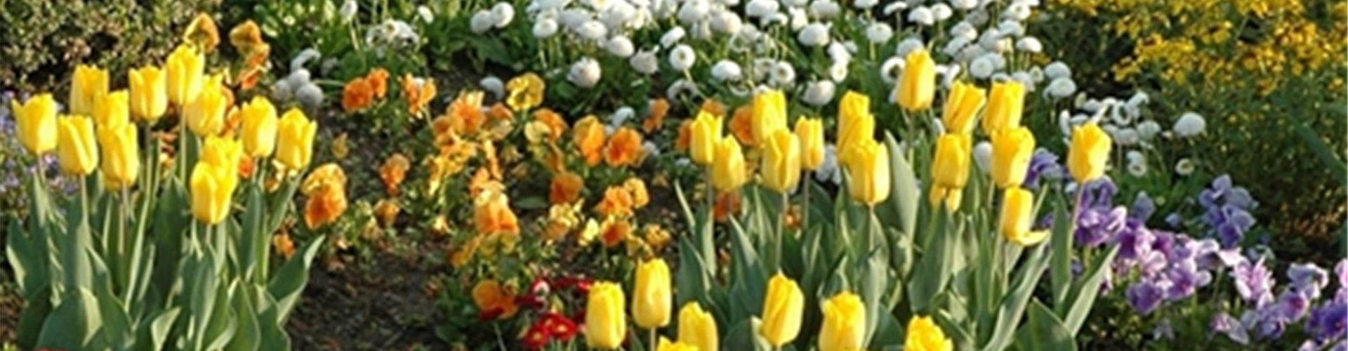 EINE TüTE VOLL FRüHLING!