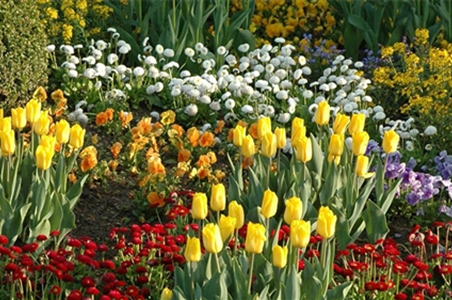 Eine Tüte voll Frühling
