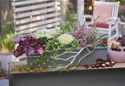 BUNT, BUNTER, HERBST! BUNT, BUNTER, HERBST!