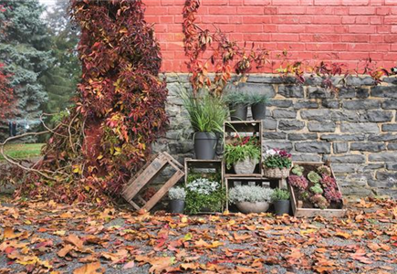 WIR SIND FEUER & FLAMME! 