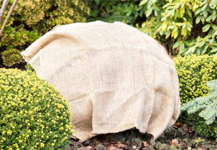 GUT GESCHÜTZT DURCH DEN WINTER!