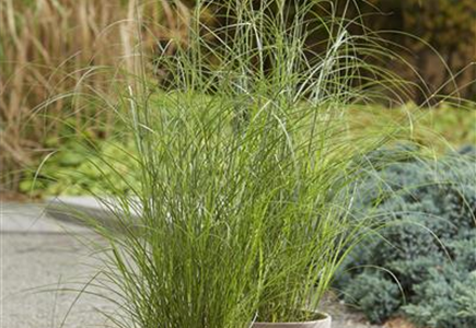 DER HERBST STEHT VOR DER TÜR! 