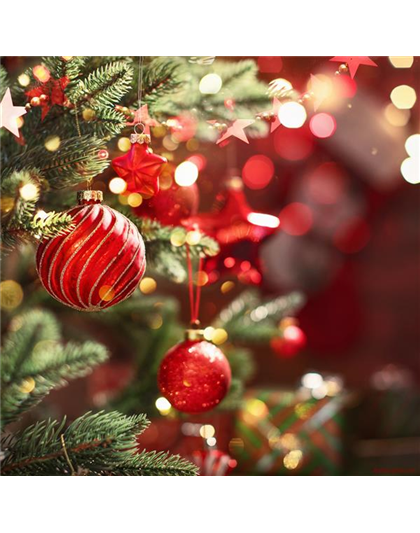 22.11.2026 | 9:30-15:30 Uhr | Große Adventsschau