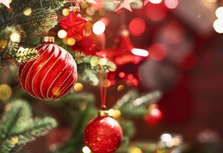 22.11.2026 | 9:30-15:30 Uhr | Große Adventsschau