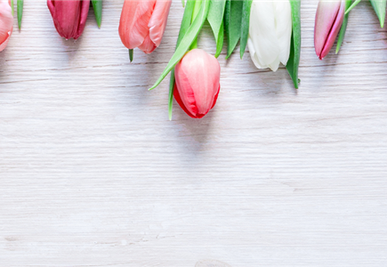 BLUMIGER VALENTINSTAG!