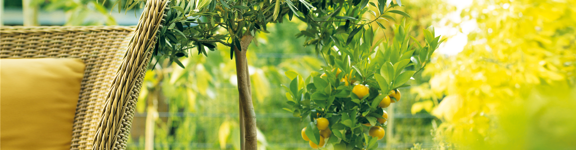 GARTEN DES SüDENS! 