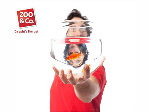 Zoofachverkäufer - Aquaristik (m/w/d) Bereich Süß- und Meerwasser