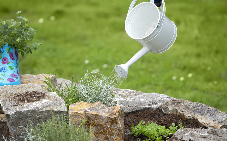 Standort und Pflege Standort und Pflege