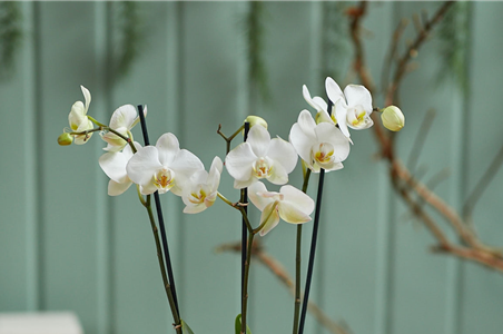 MODERNE WEIHNACHTEN! 