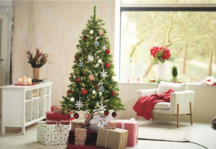 WEIHNACHTSBäUME EINMAL ANDERS!