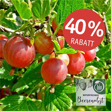 Abverkauf Bio-Beerenobst Naturfreunde.jpg