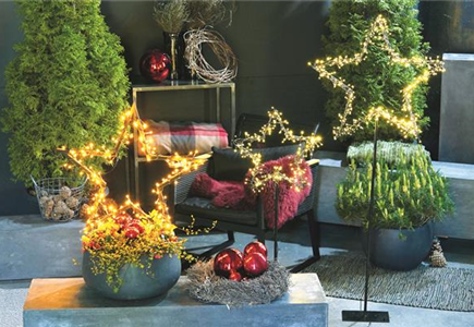 LICHTBLICKE IM WINTER-GARTEN!
